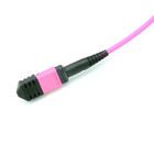 24 Fibers MTP Female To MTP Female OM4 3.0mm LSZH MTP Trunk Cable Custom Meters