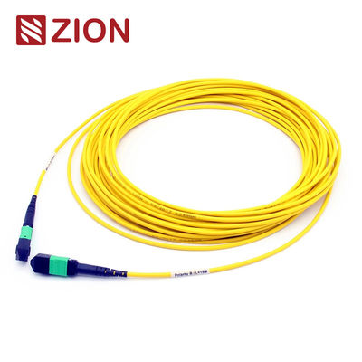 24 Fibers MTP Patch Cord Singlemode LSZH Female To Female 3.0mm Custom Meters